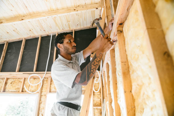 Best Basement Insulation  in South Sioux City, NE